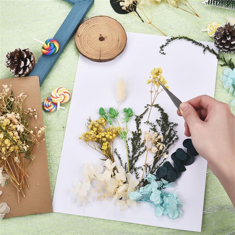 Dried Flowers UV Resin Flowers - Candle Making Kit For Kids 评论和价格