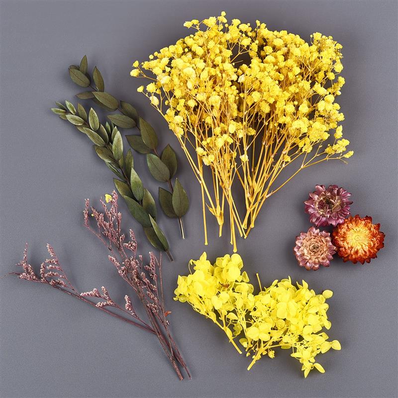 Dried Flowers UV Resin Flowers - Candle Making Kit For Kids 评论和价格